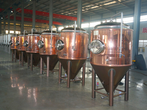 ถังหมักเบียร์ทรงกรวยทรงกระบอกทำจากทองแดง5bbl โถหมักเบียร์พร้อม500L 1000L ปั๊มความจุ300L 100L เป็นส่วนประกอบหลัก - Product Image 4