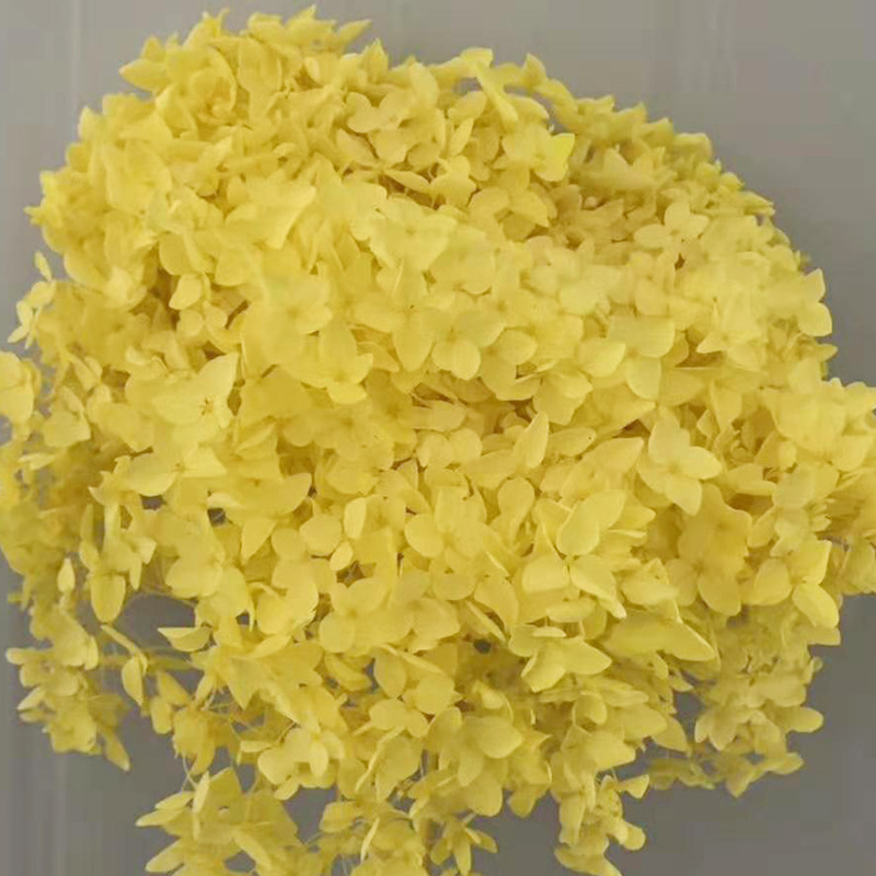 Amarillo
