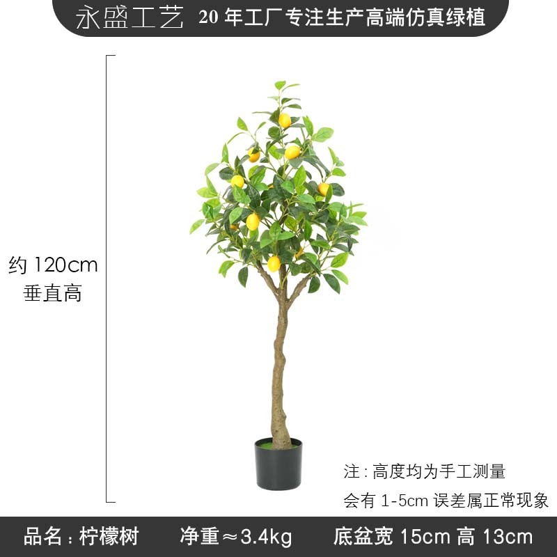 3ft lemon tree