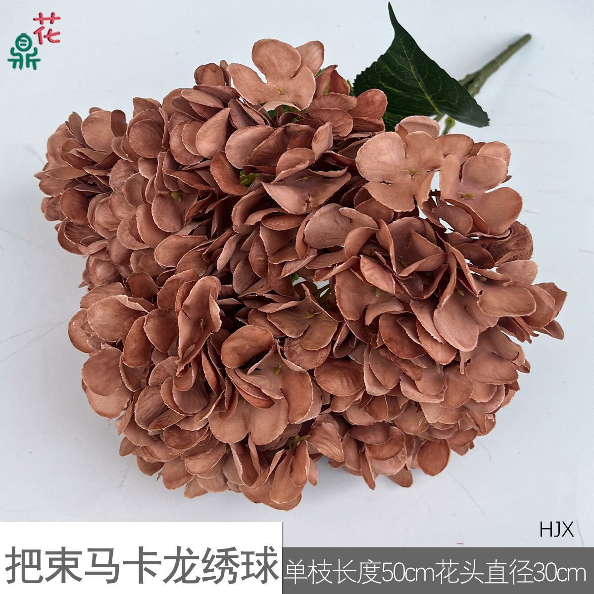 Un ramo de hortensias macaron, HJX, color marrón.