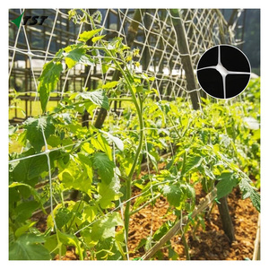 15*15 cm Mesh Size Plants <strong>Support</strong> <strong>Net</strong>/strong Plastic Trellis Mesh for Climbing Vine/green Color Runner Plants Climbing <strong>Net</strong> - Product Image 4
