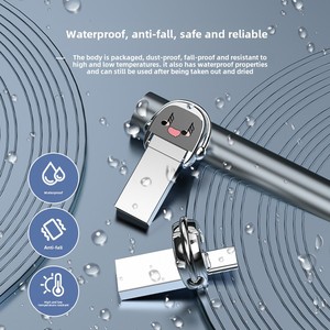 私人型号高速两用迷你u盘3.0带可定制标志的u盘，供电脑和手机商务使用 - Product Image 1