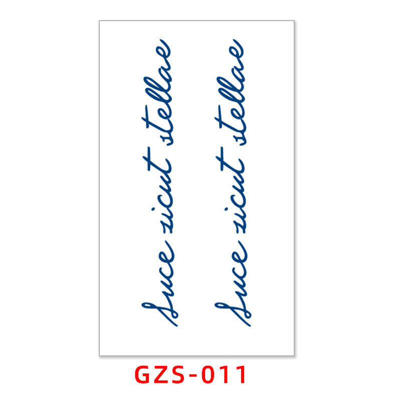GZS-011