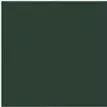 Vert chasseur