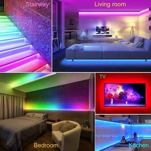 Chasing Effect RGBIC <strong>Dream</strong> Color 12V 5m 10m Magic Rainbow Music Sync Smart Dreamcolor <strong>LED</strong> Strip Light Kit - Product Image 5