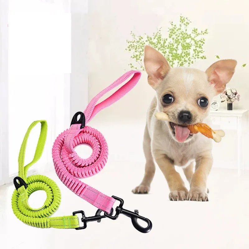 New product Whole sale  Bungee  Muti-color  Retractable Dog Leash