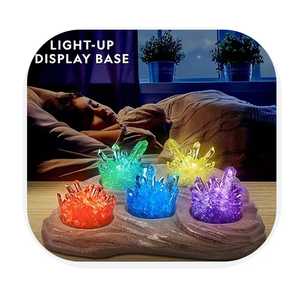 Crystal Planting DIY Science <strong>Experiment</strong> Set Fun Parent-child Communication Chemistry <strong>Experiment</strong> a <strong>Gift</strong> for a Child - Product Image 1
