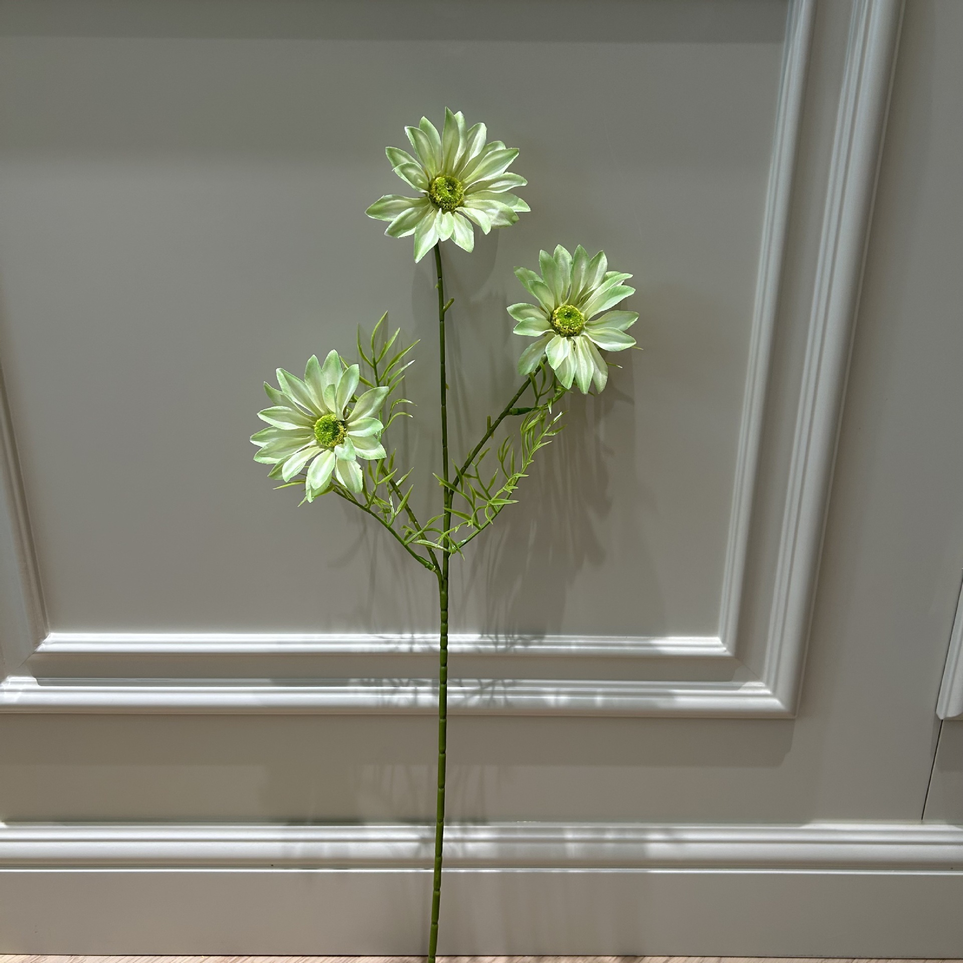 Hshs summer chrysanthemum turn up green
