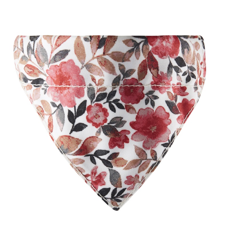 ดอกซากุระ