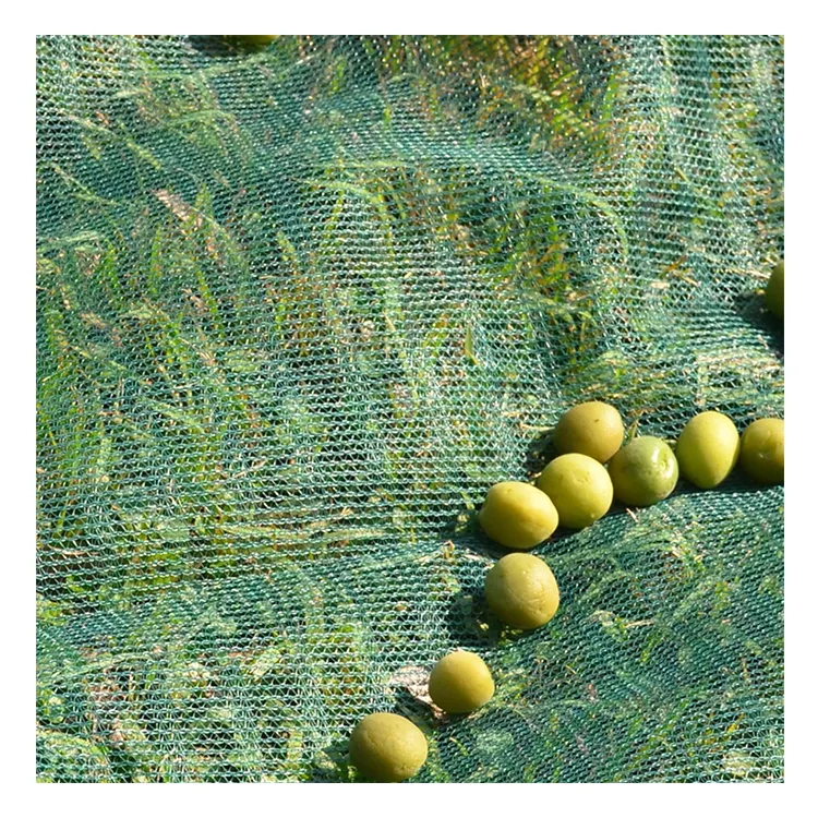 Redes de recolección de aceitunas de hdpe, Red de 8x12, para el Mediterráneo, almendra, nogal, avellana con fecha, verde, venta al por mayor
