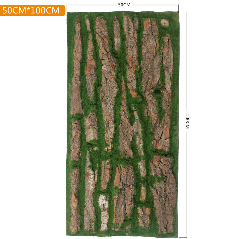 50-100 bark moss