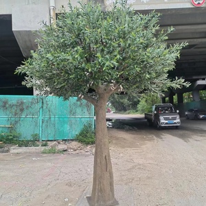 Özelleştirilmiş boyutu ve şekli doğal görünüyor kurulumu kolay büyük sahte bitkiler yeşil ağaç yapay zeytin ağacı kapalı ev otel için - Product Image 4