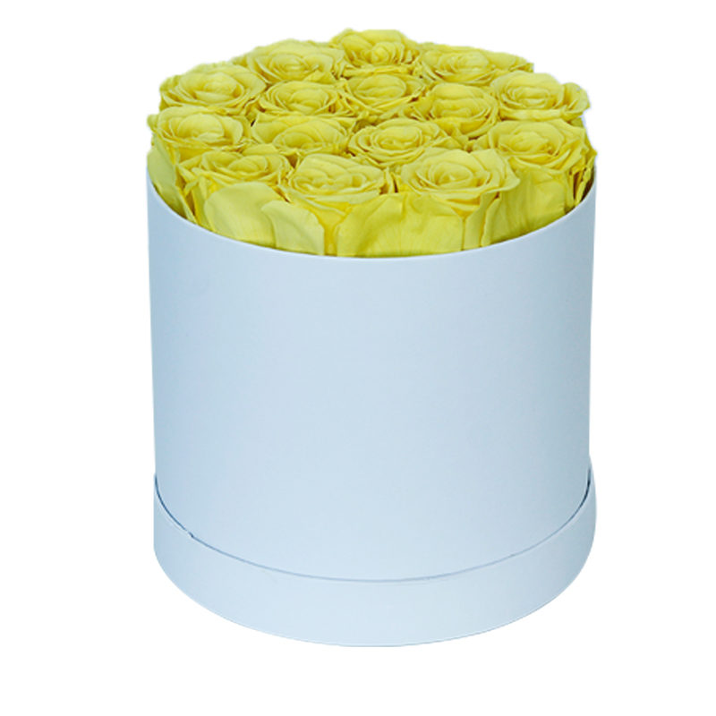 Rose-15-Rond
