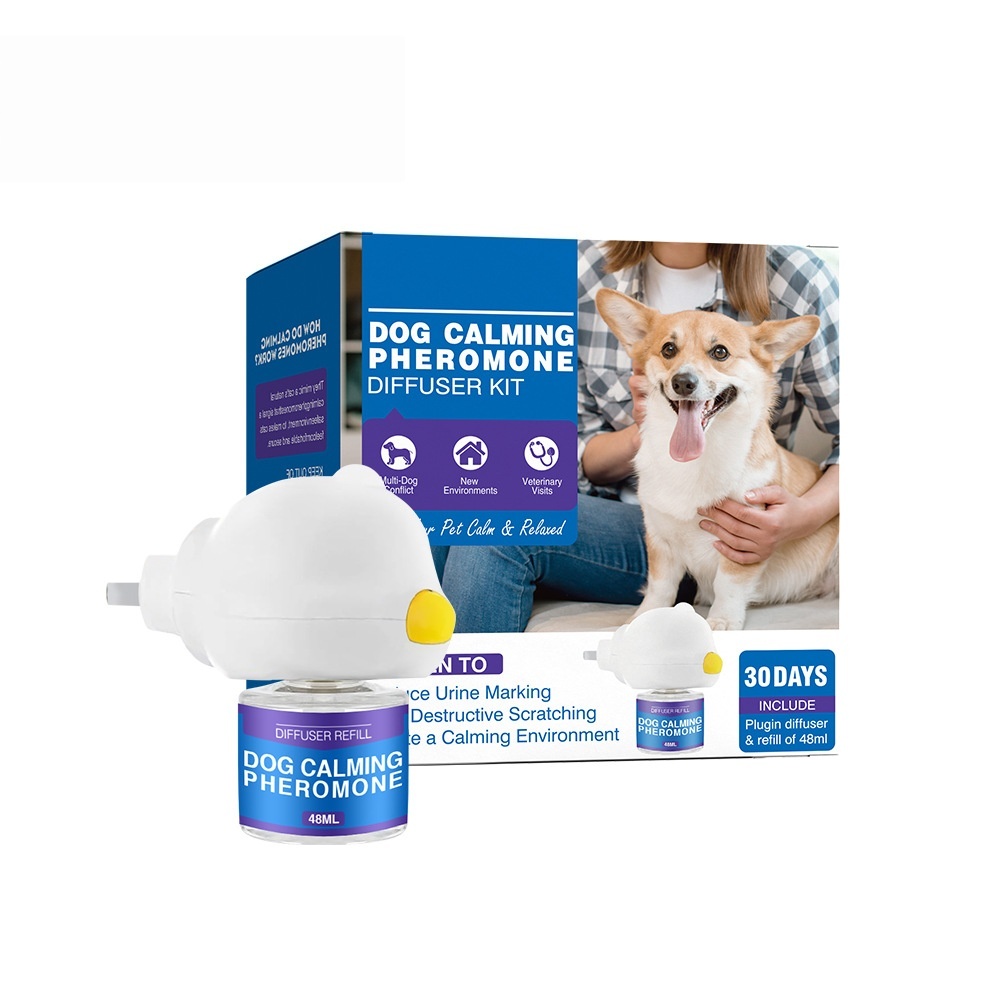 Chien bleu (1+1 norme américaine)