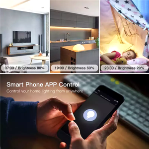 Shenzhen <span class=keywords><strong>Timer</strong></span> Funktion Smart Wireless Zigbee Dimmer Modul mit Keine Neutralen Tuya Smart App Control