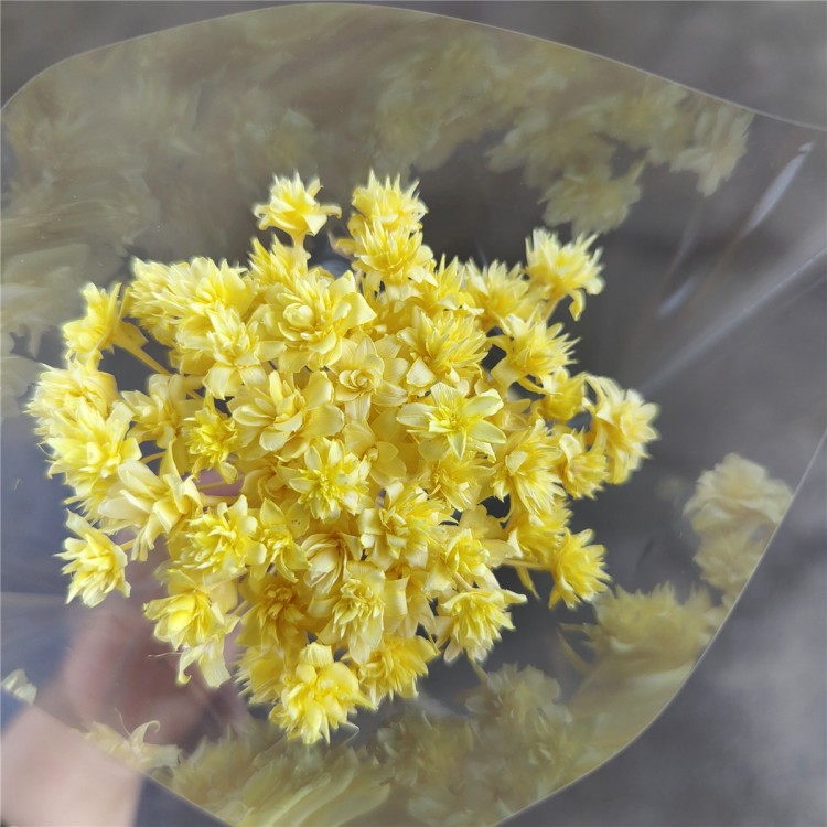 Giallo