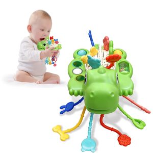 Brinquedos Montessori, Dinosaur <span class=keywords><strong>Pull</strong></span> <span class=keywords><strong>String</strong></span> Toys Silicone Brinquedos Sensoriais para crianças, Brinquedos Motores Finos, Baby Travel Toys for <span class=keywords><strong>Plane</strong></span> carseat