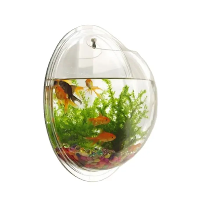 Fabricant Personnalisé OEM/ODM Acrylique Mur Fish Tank Aquarium Bulle Fish Tank Décor Planteur pour Plante Poisson Ecosphère Décor