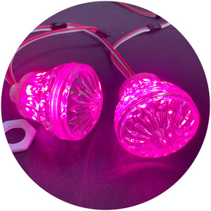 DC12V 60 мм mushromm horse running rides smd5050 цифровое Программирование dream color RGB развлекательный пиксель турбо свет - Product Image 3
