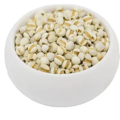 Reine natürliche grüne Coix-Samen, eine Vielzahl von Möglichkeiten zu essen, um den Nährstoffbedarf des menschlichen Körpers zu erfüllen