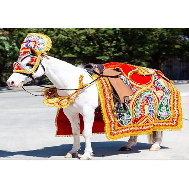 Costume élégant brodé à la main de paon pour cheval, tenue élégante, nouvelle collection