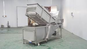 WA-1000 lift-loại Lê cà chua hạt tiêu Lettu làm sạch máy giặt máy thịt trái cây rau máy giặt - Product Image 5