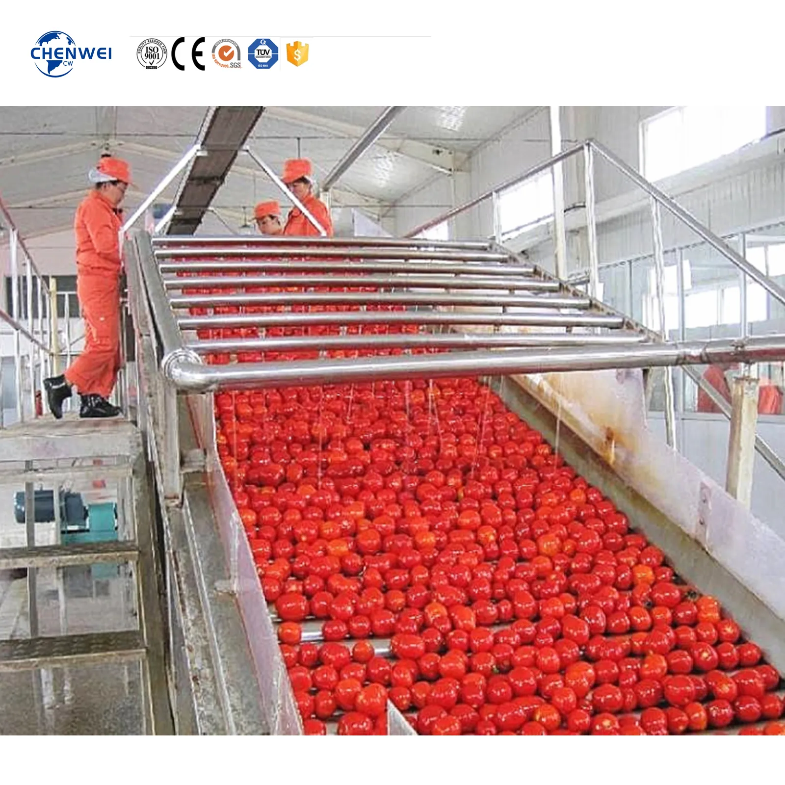 100-1000kg出力自動トマトペースト生産ラインケチャップ生産加工ライン