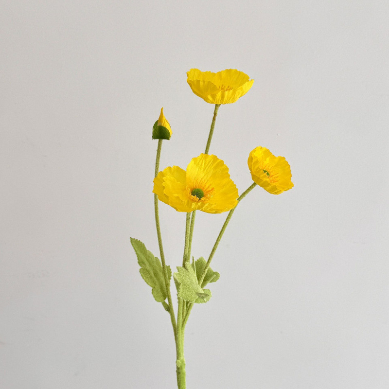 Jaune