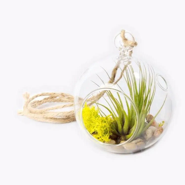 Boule de terrarium en verre soufflé à la main, décoration de jardin, boule de verre suspendue