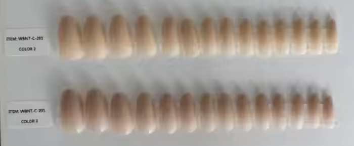 WBNT-C-200 COULEUR 2 WBNT-C-200 COULEUR 3