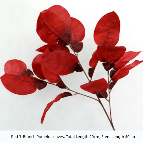 3-Branch Pomelo Leaves