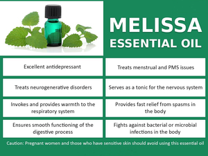Fresh Leave Extracted 100% Pure <strong>Melissa</strong> <strong>Oil</strong> Natural Essential Lemon Balm <strong>Oil</strong> at Low Price - Product Image 4