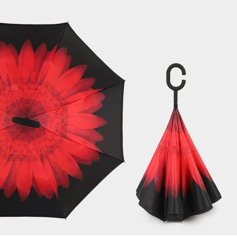 marguerite rouge