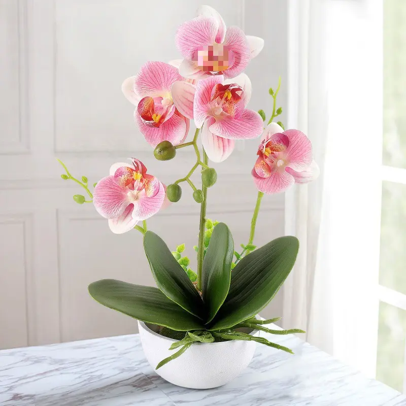 Decoración de mesa de oficina en casa de alta calidad flores de seda con maceta orquídea Artificial Phalaenopsis arreglo flor bonsái