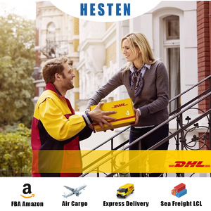 Transport DAP From China to <strong>Egypt</strong> DHL Freight Forwarder UPS FedEx Shipping Agent CIF Logistics Provider Cheap EMS Postal Service - Product Image 6