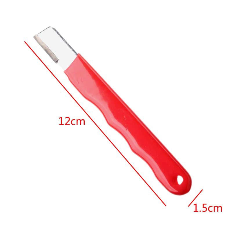 Rojo