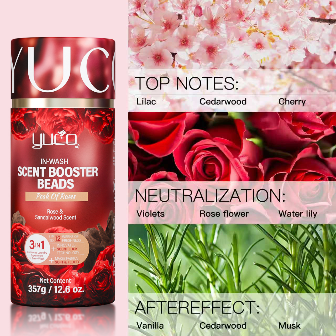 Rose Scent
