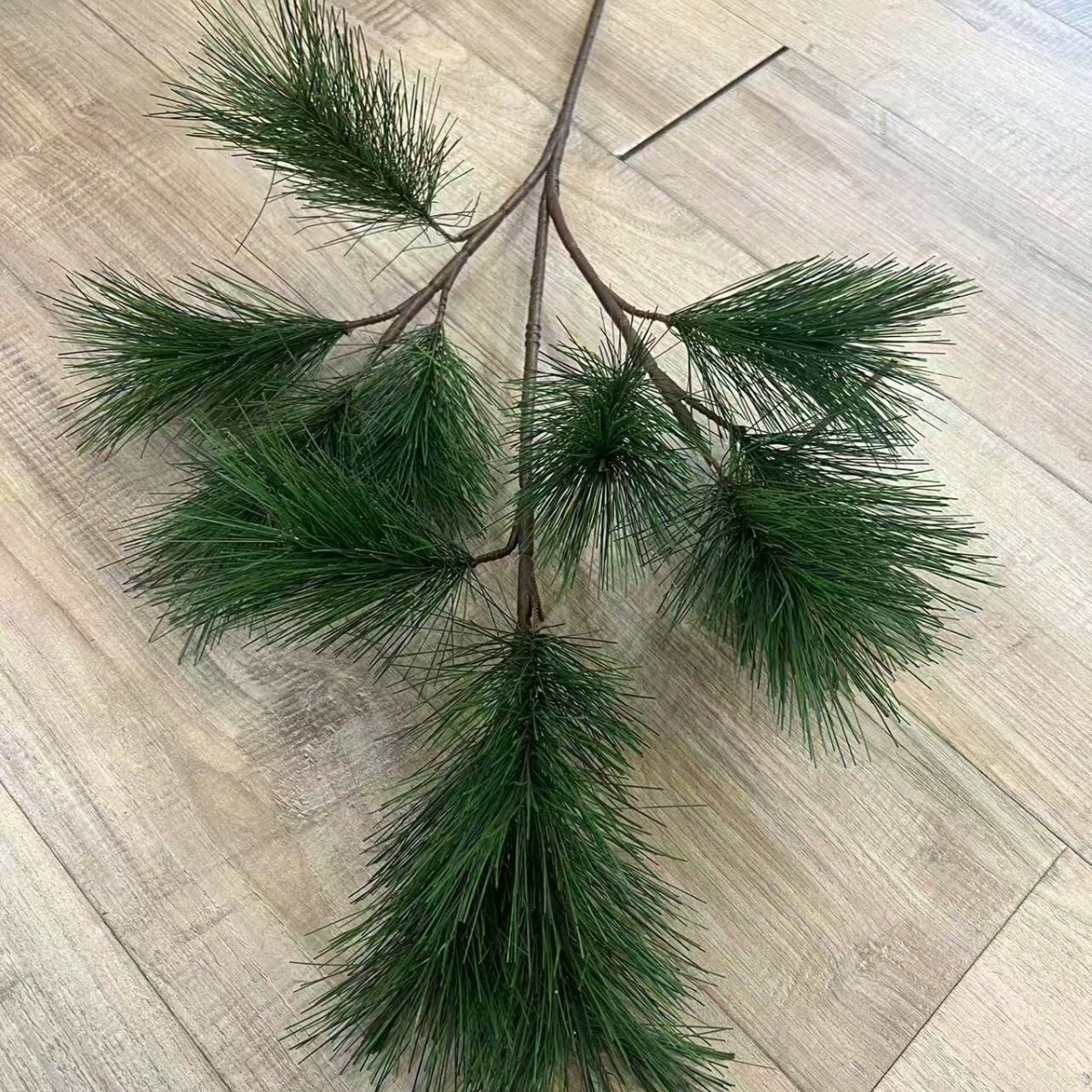 Welcoming guest pine