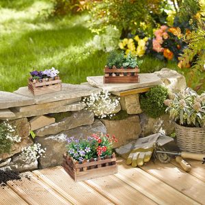 holz sukkulente pflanze behälter box rechteckiger blumentopf