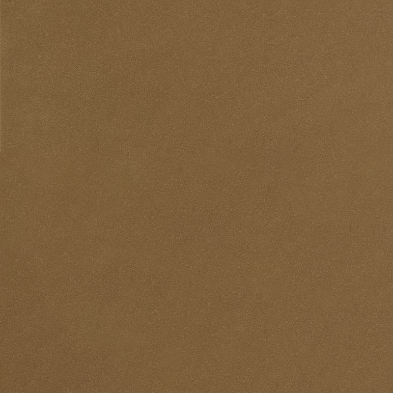 Pure color 3651 New Champ Gold