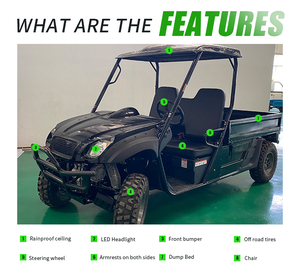 High Quality 4x4 Automatic Street-Legal Buggy <strong>UTV</strong> Electric 4WD Quad Vehicle with EEC Certificate for <strong>Sale</strong> - Product Image 6