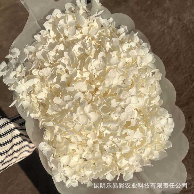 Riz blanc