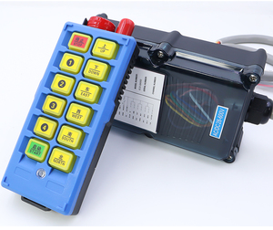 ECD-Q800D fabbrica personalizzata 12V 24V piccola gru a ponte industriale radiocomando - Product Image 6