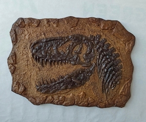 Padrão animal dinossauro fóssil placa descoberta dinossauro fósseis local escavação para crianças jogo