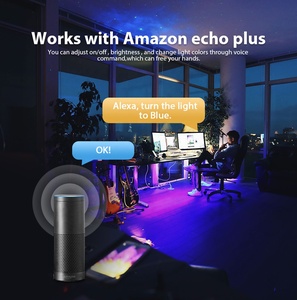 Alexa Google Home Magic home Tuya smart music Wifi контроллер IP20 IP65 гибкий SMD 5050 RGB светодиодные полосы комплект света