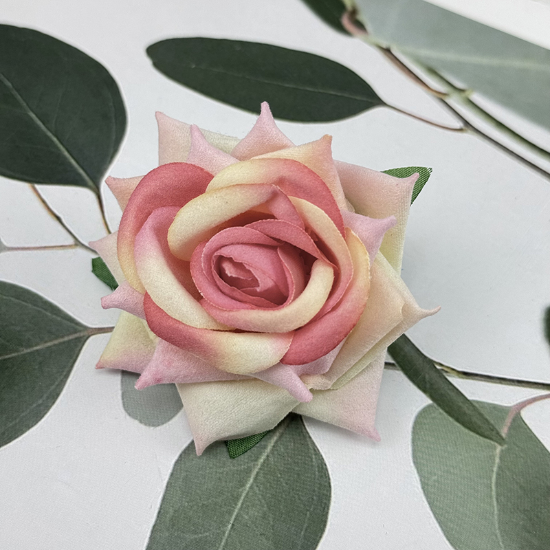 Blanc + Rose
