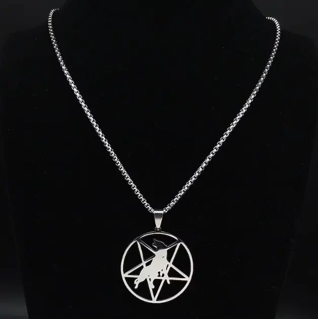 Collana da ragazzo in argento in acciaio inossidabile 316l gioielli da uomo ciondolo lupo pentagramma Chic lucido alto