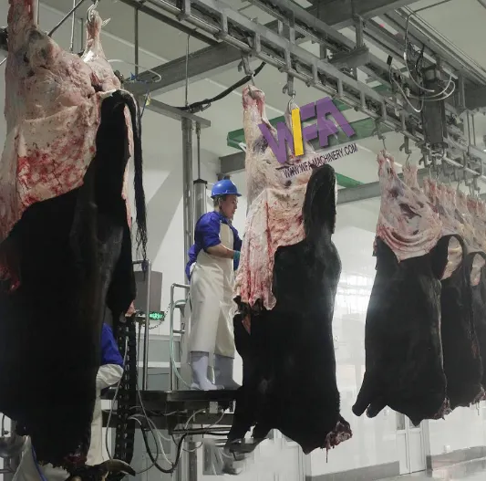 Profesyonel sığır koyun domuz kesim ekipmanları Abattoir ekipmanları mezbaha et işleme ekipmanları
