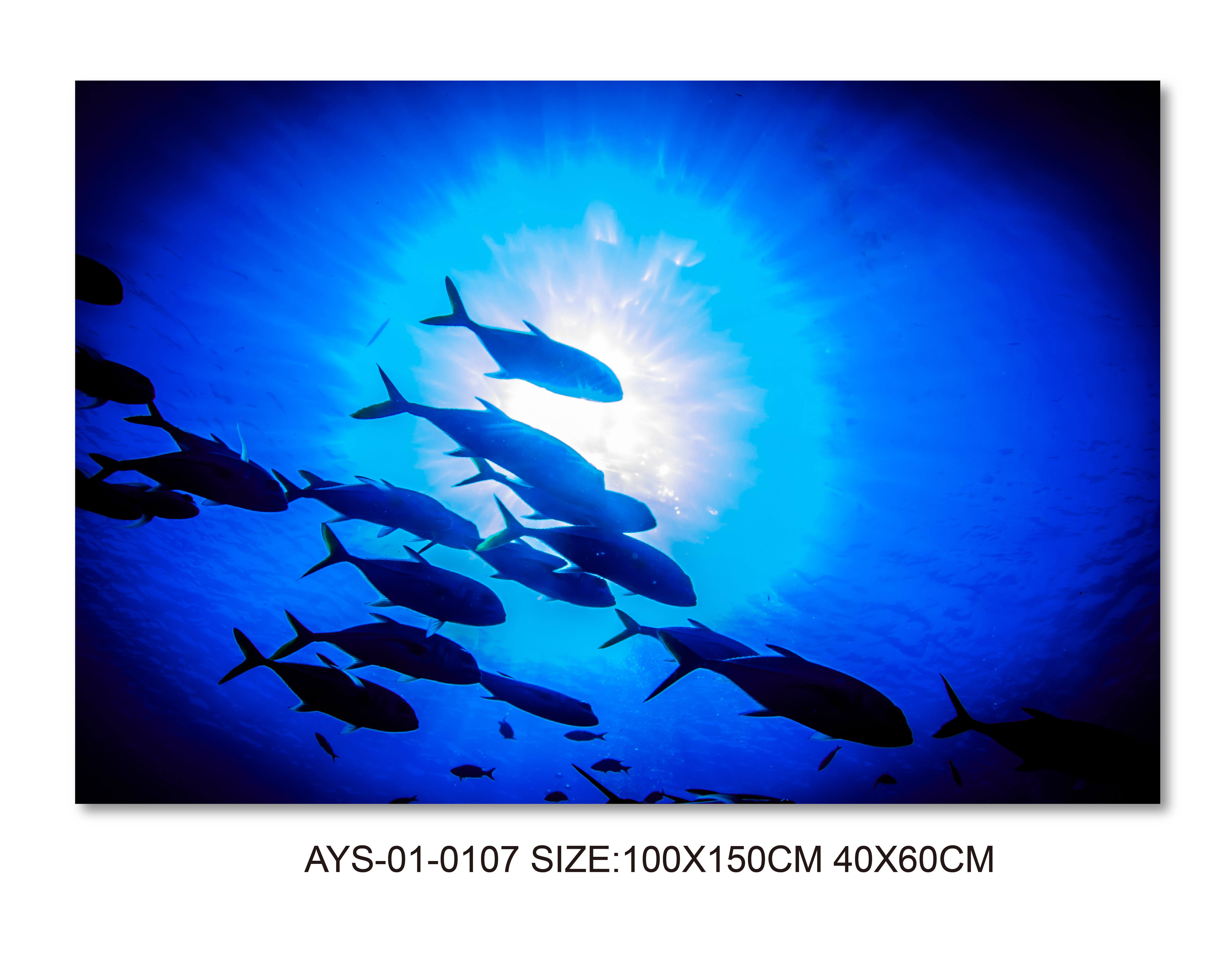 40*60cm(15.75*23.62in)