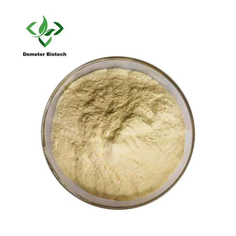 Factory Supply Organic Ginger Root Extract Powder